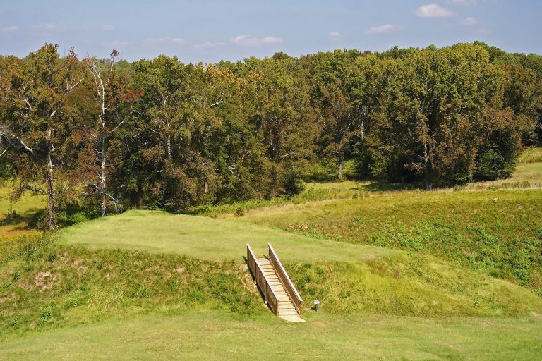 A set of wooden stairs lead up to a grassy platform surrounded by forest