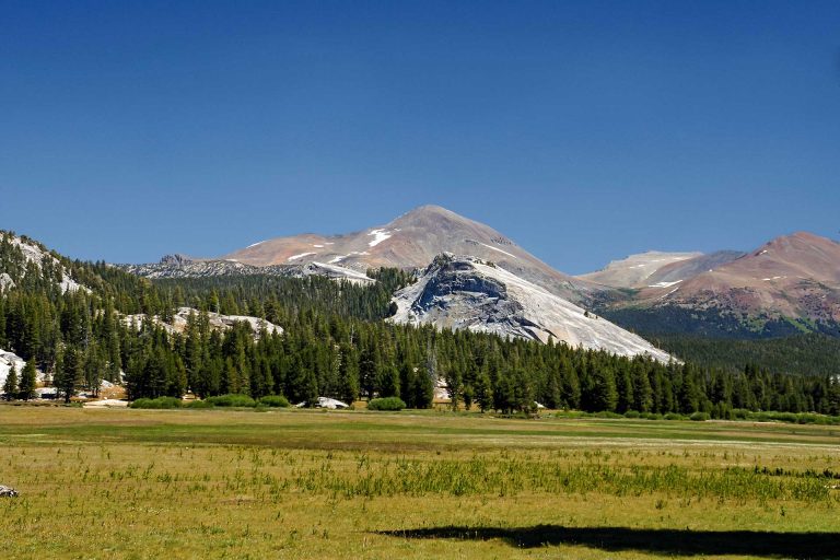 View of an expansive meadow with snow-capped mountains in the background